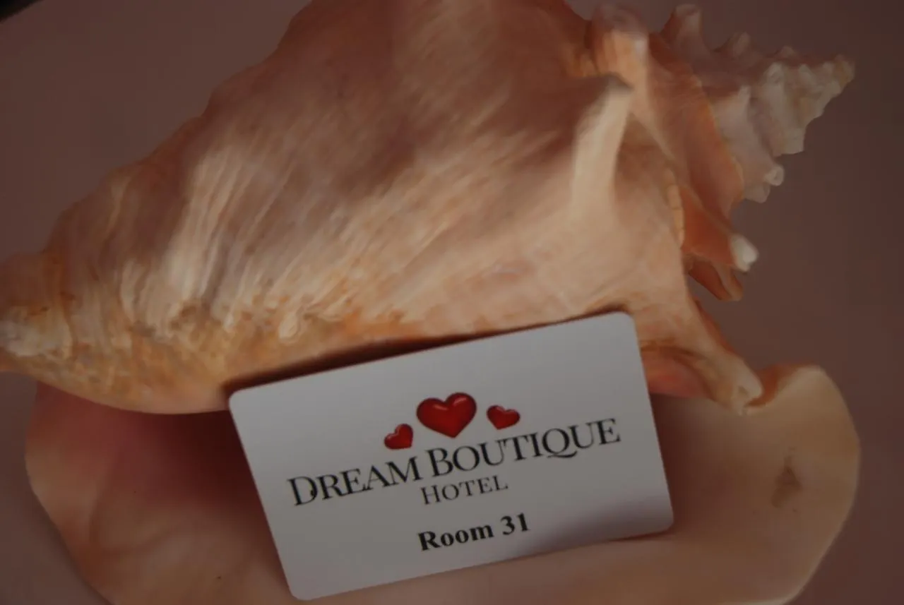 Dream Boutique Apartments Nikiti